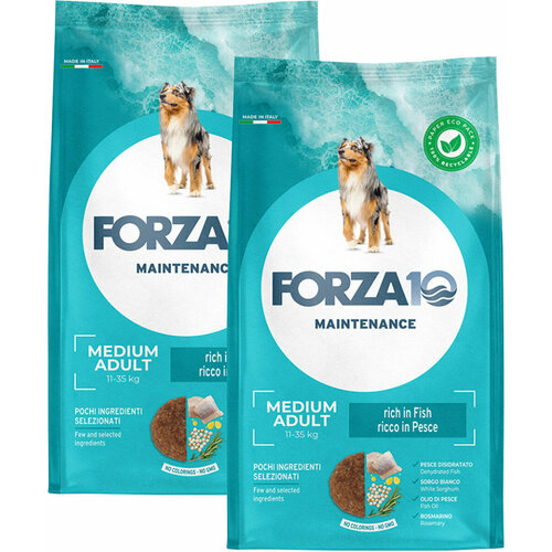 FORZA10 DOG MAINTENANCE ADULT MEDIUM для взрослых собак средних пород с рыбой (2 + 2 кг) фото