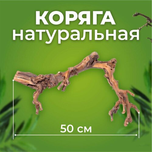 Коряга Виноградная лоза темная 50 см фото