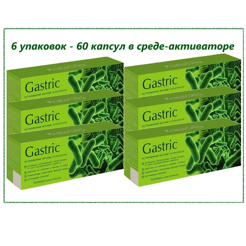 Gastric KapsOila (Гастрик Капсойла) для желудка и кишечника, капсулы, 6 упаковок по 10 шт. Сашера-МЕД. фото