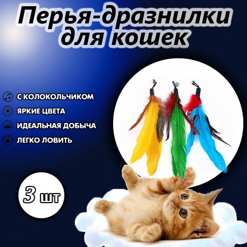 фото Игрушки для кошек дразнилка Перья на резинке 3 шт., купить за 299 руб онлайн