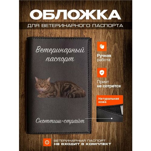 Обложка на ветеринарный паспорт для кошек с принтом Скоттиш-страйт фото