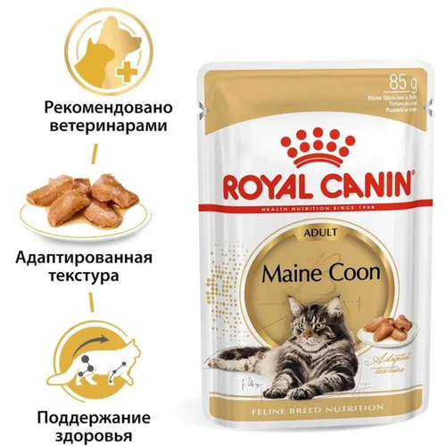 Royal Canin Maine Coon Adult Sauce // Корма для кошек / Влажный (85 гр) фото