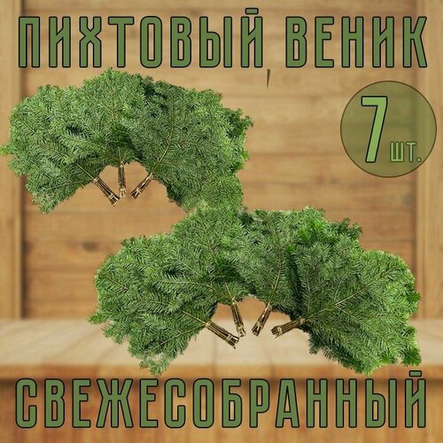 Веник Пихтовый свежесобранный для бани 7шт. фото