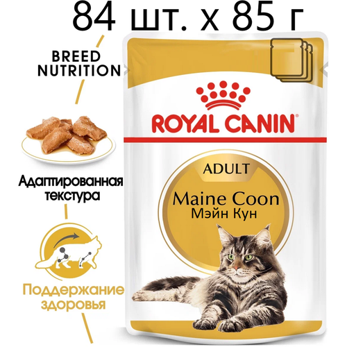 Влажный корм для кошек Royal Canin Maine Coon Adult, для взрослых кошек породы мейн-кун, 84 шт. х 85 г (кусочки в соусе) фото