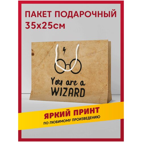 Пакет подарочный сувенирный с принтом Harry Potter / Гарри Поттер и школы Хогвартса: Гриффиндор, Слизерин, Пуффендуй, Когтевран фото