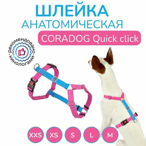 Шлейка прогулочная анатомическая для средних и крупных пород собак, CORADOG Quick click, размер M, цвет голубой, ярко розовый фото