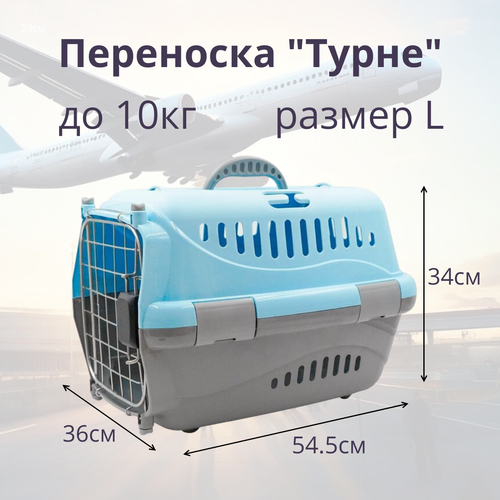 Переноска для животных Zooexpress Турне L авиа с металлической дверцей (коврик + ремень) голубая, 54.5 х 36 х 34см фото