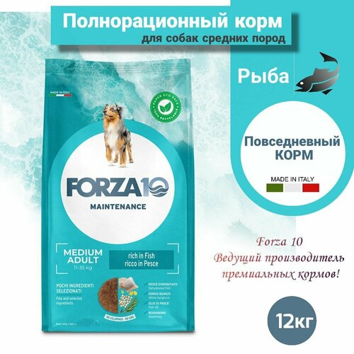 Сухой корм для собак Forza10 MEDIUM ADULT MAINTENANCE средних пород /рыба /12кг фото