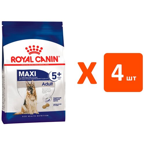 ROYAL CANIN MAXI ADULT 5+ для пожилых собак крупных пород старше 5 лет (4 кг х 4 шт) фото