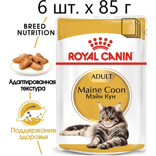 Влажный корм для кошек Royal Canin Maine Coon Adult, для взрослых кошек породы мейн-кун, 6 шт. х 85 г (кусочки в соусе) фото