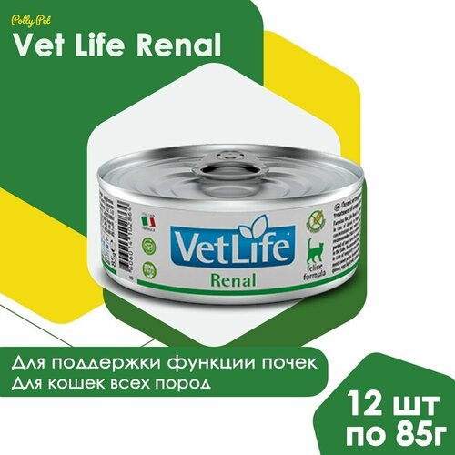 Влажный корм Farmina Vet Life Renal для кошек всех пород при болезни почек и почечной недостаточности, Фармина Вет Лайф лечебный рацион со вкусом курицы, 12шт по 85г фото