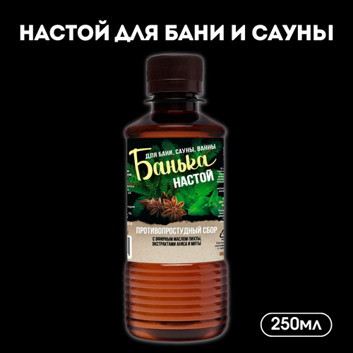 Лаборатория Катрин Настой для бани Противопростудный, 250 мл 1 шт. 0.25 л 14.5 см 5.2 см 14.5 см 0.25 кг пихта бесцветный фото