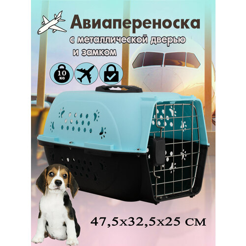 Клиппер для животных Чистый котик HP-B01 32х26х48 см 48 см 26 см 32 см голубой фото