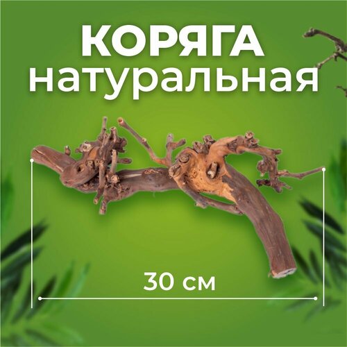 Коряга Виноградная лоза темная 30 см фото