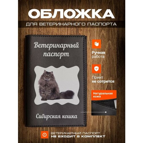 Обложка на ветеринарный паспорт для кошек с принтом Сибирская кошка фото