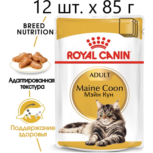 Влажный корм для кошек Royal Canin Maine Coon Adult, для взрослых кошек породы мейн-кун, 12 шт. х 85 г (кусочки в соусе) фото