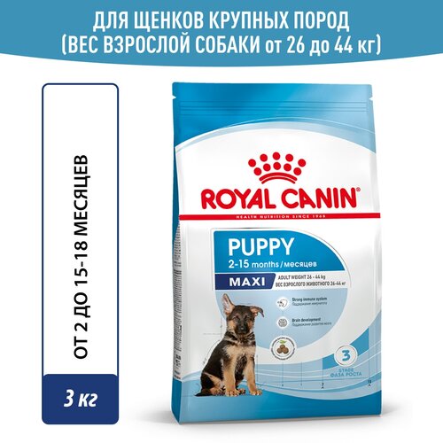 Сухой корм Royal Canin Maxi Puppy (Макси Паппи) для щенков до 15 месяцев (для крупных пород), 3 кг фото