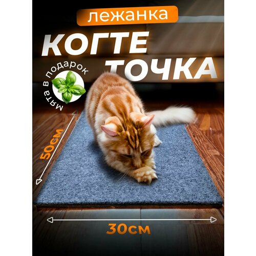 Когтеточка для кошки напольная лежанка с кошачьей мятой, 50х30 см/ серая фото