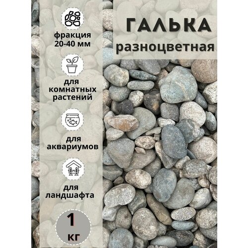 Галька разноцветная(пестрая) 20-40мм (1кг) для комнатных и садовых растений фото