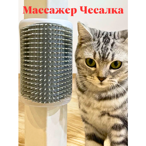 Расческа для кошек с кошачьей мятой чесалка угловая фото