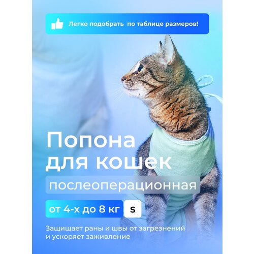 Попона для кошек послеоперационная 4-8 кг AniMall фото