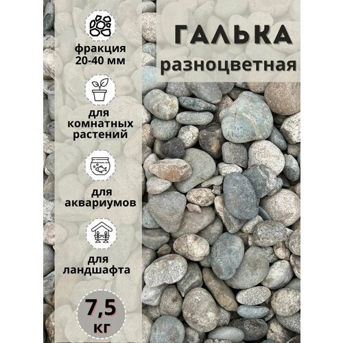 Галька разноцветная(пестрая) 20-40мм (7.5кг) для комнатных и садовых растений фото