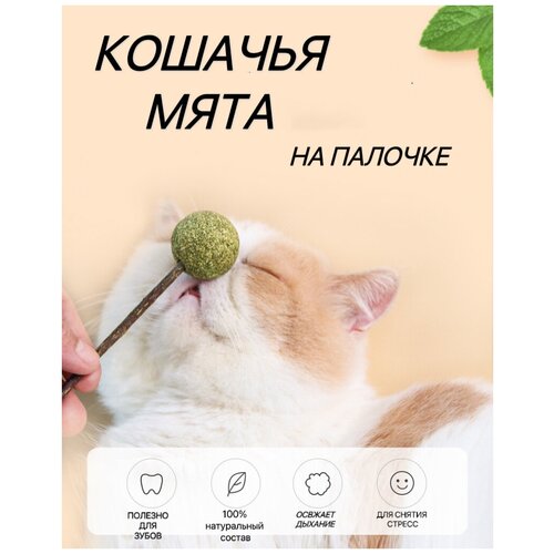 Игрушка для кошек из натуральной кошачьей мяты шарик/Мятный мячик/Шар из кошачьей мяты фото