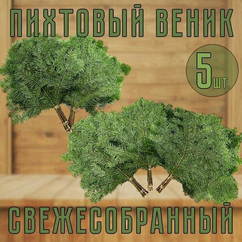 Веник Пихтовый свежесобранный для бани 5шт. фото