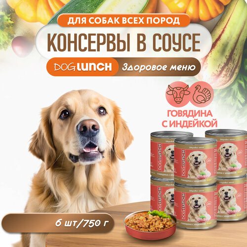 Корм влажный DOG LUNCH говядина и индейка в соусе для собак (6шт x 750г) фото