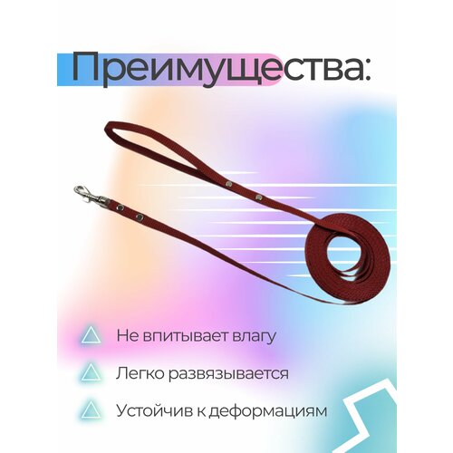 Поводок Хвостатыч для собак нейлоновый классический 1,5 м х 10 мм (коралловый) фото