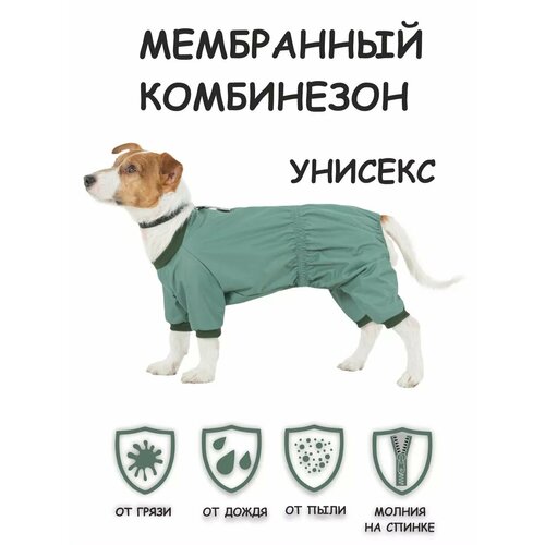 Новинка! Дождевик для собак DOGMODA Мартин (цвет мятный) унисекс р. 4, 32см фото