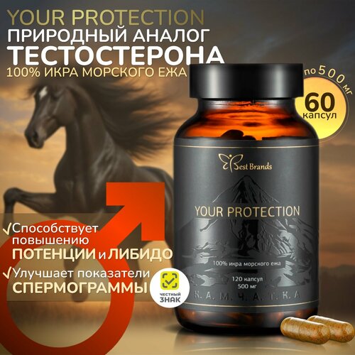 YOUR PROTECTION - 100% икра морского ежа. Единственный в своем роде. (60 капсул) фото