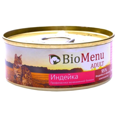 Влажный корм для кошек BioMenu профилактика МКБ, с индейкой 26 шт. х 100 г (паштет) фото