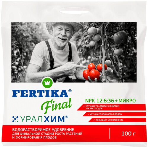 Удобрение FERTIKA Final (Финал), 100 г, 1 уп. фото