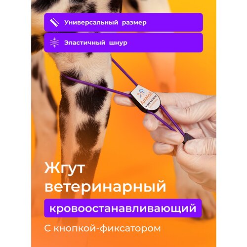 Жгут ветеринарный кровоостанавливающий с фиксатором AniMall / Фиолетовый / Медицинский фото