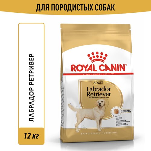 Сухой корм Royal Canin Labrador Retriever Adult (Лабрадор Ретривер Эдалт) для взрослых собак породы Лабрадор ретривер от 1 года до 8 лет, 12 кг фото