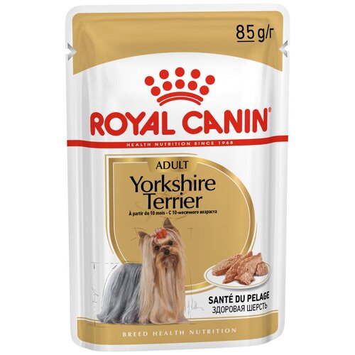 Влажный корм для собак Royal Canin породы Йоркширский терьер, для здоровья кожи и шерсти 1 уп. х 1 шт. х 85 г (для мелких и карликовых пород) фото