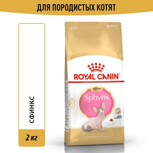 Корм для кошек Royal Canin Sphynx Kitten (Сфинкс Киттен) Корм сухой сбалансированный для котят породы Сфинкс, 2 кг фото