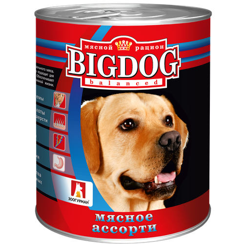 Влажный корм для собак Зоогурман Big Dog, мясное ассорти 1 уп. х 1 шт. х 850 г (для средних и крупных пород) фото