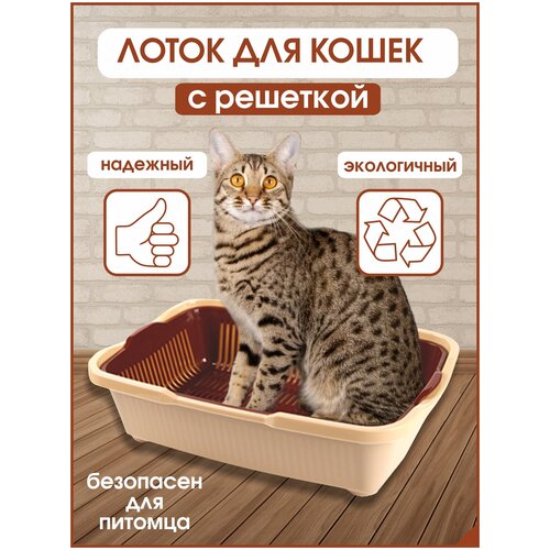 Лоток для кошек средний размер с сеткой , Бежево-коричневый, DD Style, 42х32х11 см фото