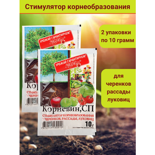 Корневин Стимулятор образования и роста корней 10 г, 2 шт. фото