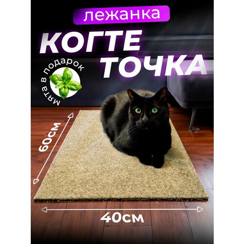 Когтеточка для кошки напольная лежанка с кошачьей мятой, 60х40 см/ бежевая фото