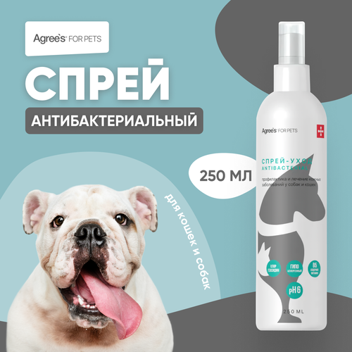 Спрей для кожи животных Agree's For Pets с хлоргексидином, 250мл фото