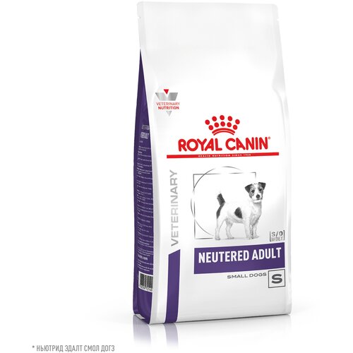 Royal Canin Neutered Adult Small Dog Корм сухой для взрослых стерилизованных/кастрированных собак мелких пород, 3,5 кг. фото