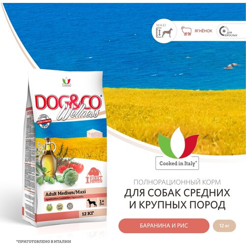 Wellness Dog&Co Adult Medium/Maxi корм для собак средних и крупных пород Баранина и рис, 12 кг. фото