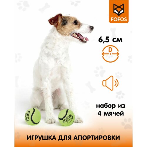 Теннисные мячики 2 шт / Игрушка для собак с пищалкой FOFOS Sports Fetch Ball 2pk фото