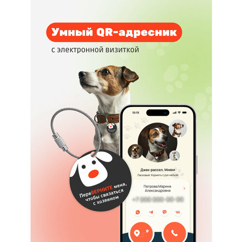 Умный адресник-медальон на ошейник для собаки с QR-кодом, контактами владельца и мобильным приложением хозяина фото