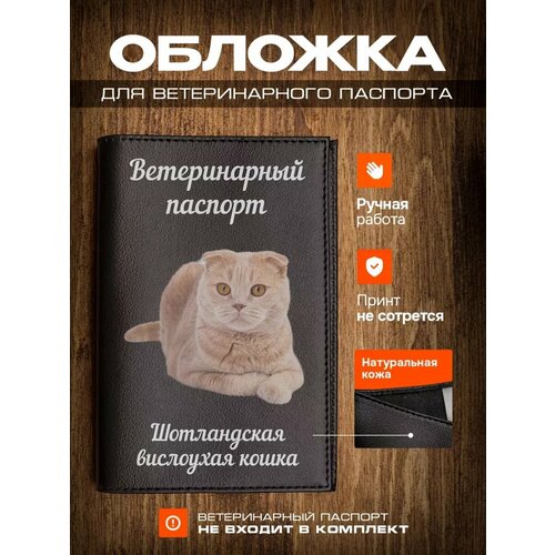 Обложка на ветеринарный паспорт для кошек с принтом Скоттиш-фолд фото