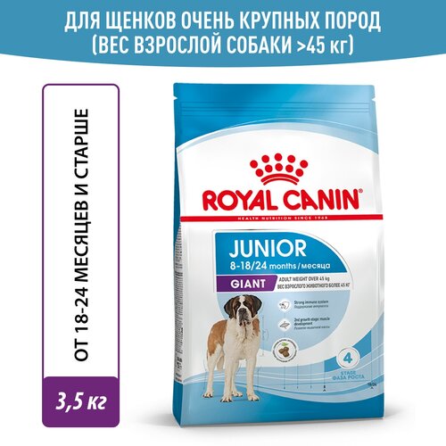 Корм для собак Royal Canin Корм Giant Junior (Джайнт Юниор) сухой для щенков очень крупных размеров до 8 месяцев, 3,5 кг фото