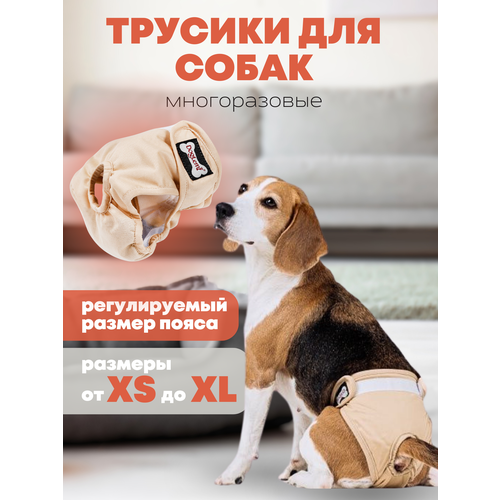 Трусы многоразовые PET&HOME для собак, подгузник для собак, полиэстер, бежевый, размер S фото